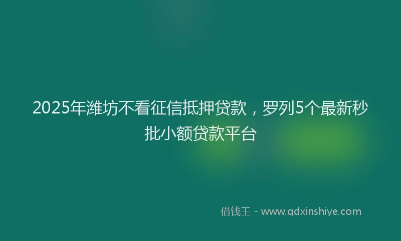 2025年潍坊不看征信抵押贷款，罗列5个最新秒批小额贷款平台