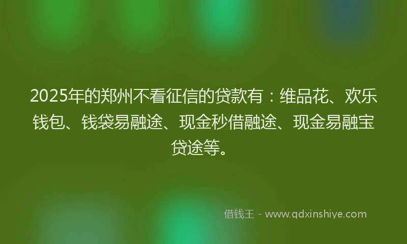 2025年的郑州不看征信的贷款有：维品花、欢乐钱包、钱袋易融途、现金秒借融途、现金易融宝贷途等。