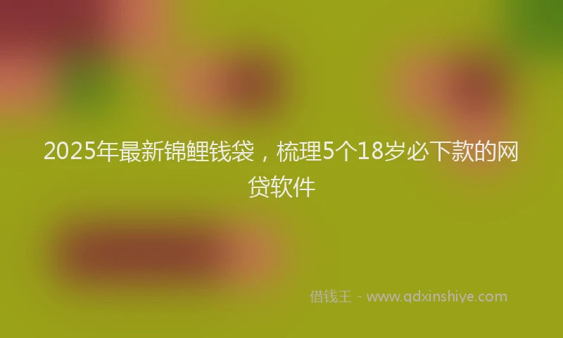 2025年最新锦鲤钱袋，梳理5个18岁必下款的网贷软件