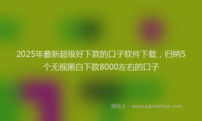 2025年最新超级好下款的口子软件下载，归纳5个无视黑白下款8000左右的口子