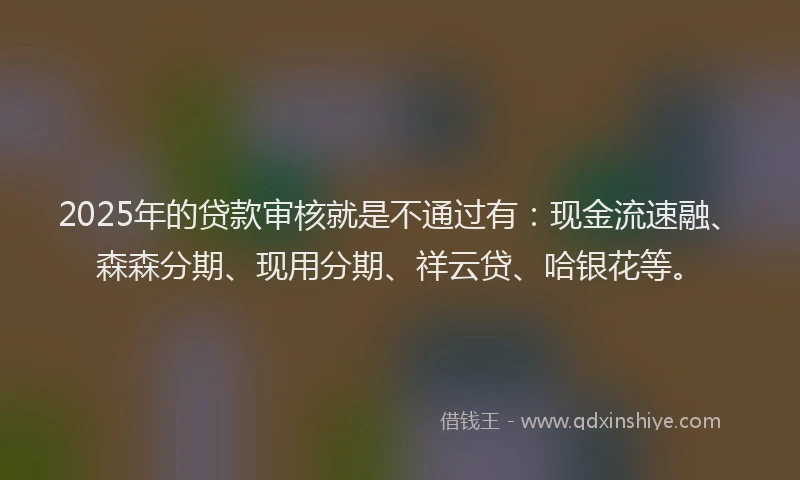 2025年的贷款审核就是不通过有：现金流速融、森森分期、现用分期、祥云贷、哈银花等。