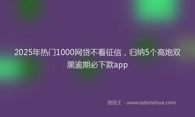 2025年热门1000网贷不看征信，归纳5个高炮双黑逾期必下款app