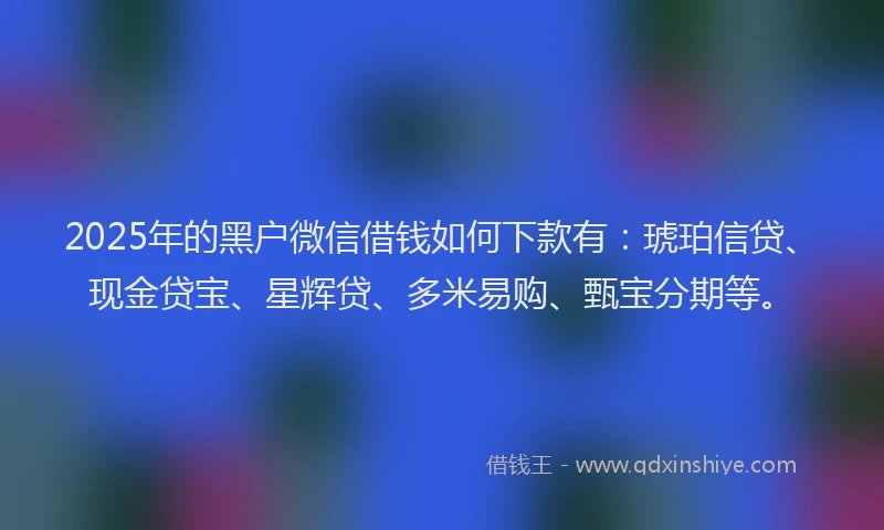 2025年的黑户微信借钱如何下款有：琥珀信贷、现金贷宝、星辉贷、多米易购、甄宝分期等。