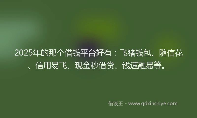 2025年的那个借钱平台好有：飞猪钱包、随信花、信用易飞、现金秒借贷、钱速融易等。