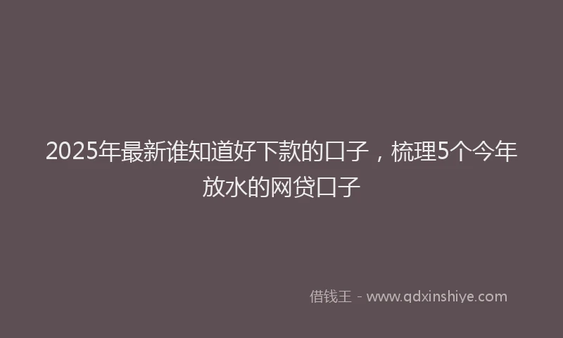 2025年最新谁知道好下款的口子，梳理5个今年放水的网贷口子