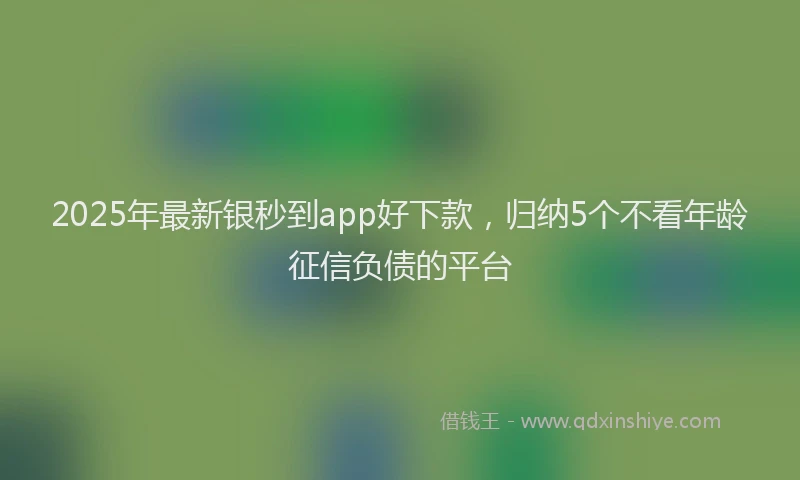 2025年最新银秒到app好下款，归纳5个不看年龄征信负债的平台