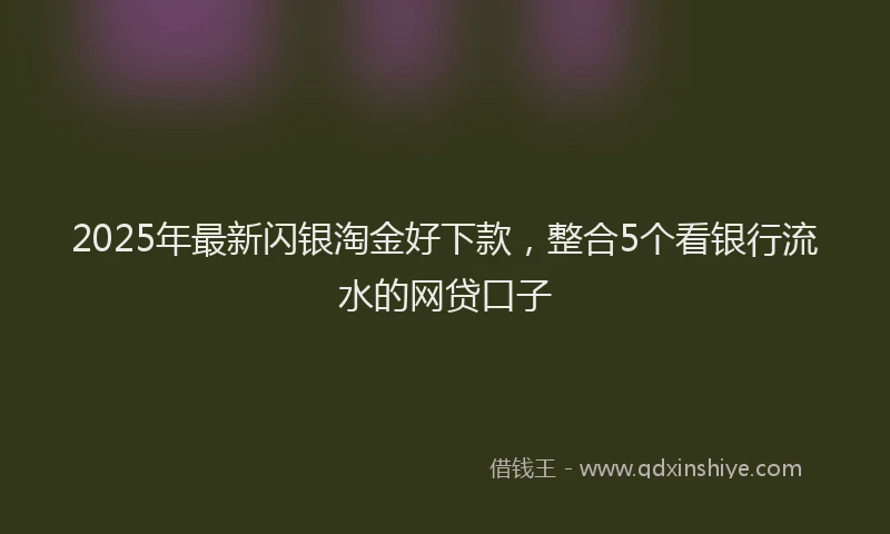 2025年最新闪银淘金好下款，整合5个看银行流水的网贷口子