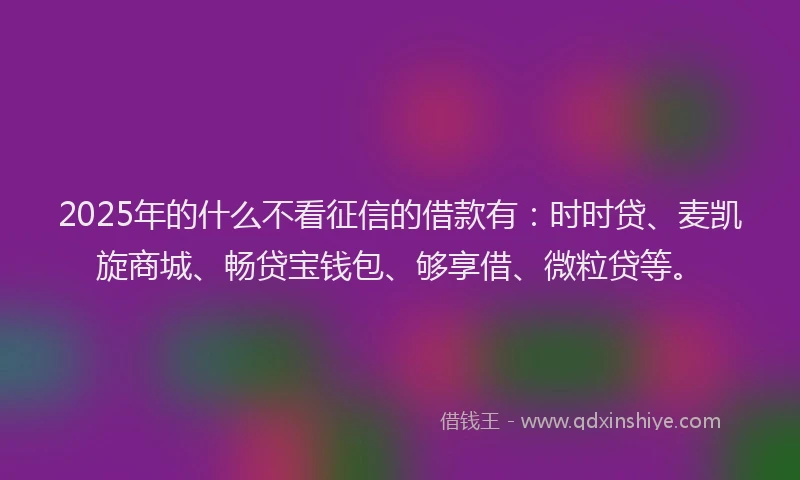 2025年的什么不看征信的借款有：时时贷、麦凯旋商城、畅贷宝钱包、够享借、微粒贷等。