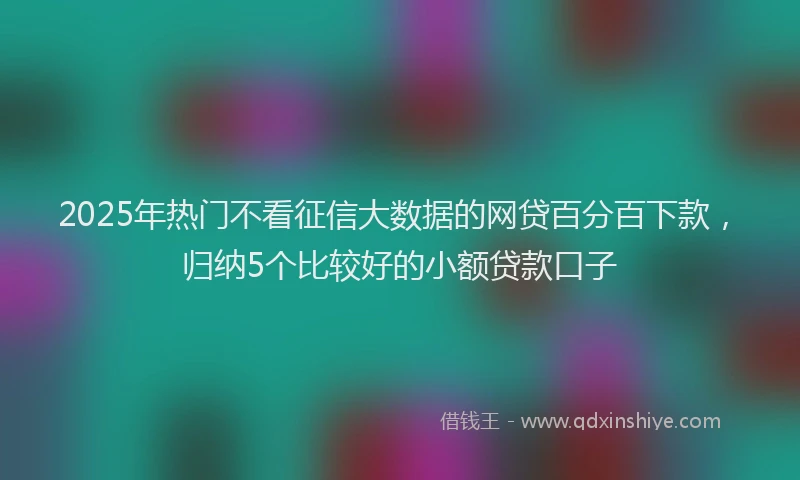 2025年热门不看征信大数据的网贷百分百下款，归纳5个比较好的小额贷款口子