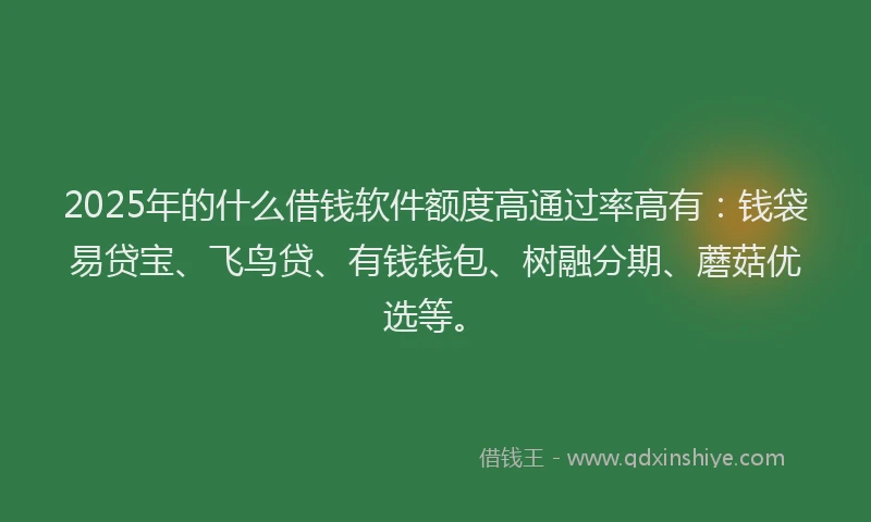2025年的什么借钱软件额度高通过率高有：钱袋易贷宝、飞鸟贷、有钱钱包、树融分期、蘑菇优选等。