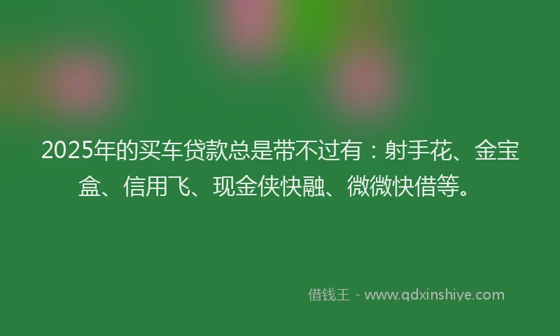 2025年的买车贷款总是带不过有：射手花、金宝盒、信用飞、现金侠快融、微微快借等。