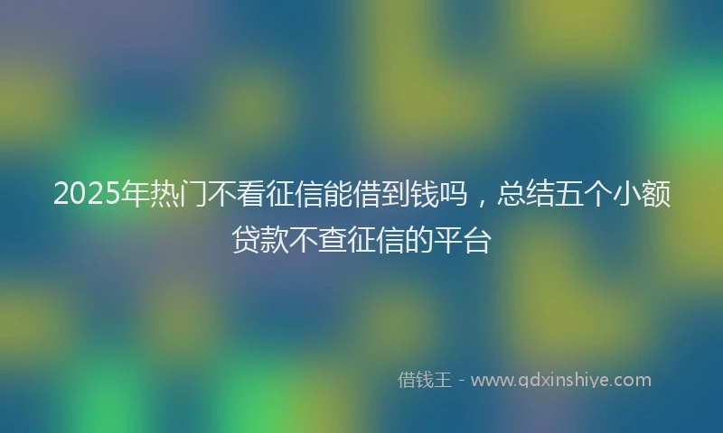 2025年热门不看征信能借到钱吗，总结五个小额贷款不查征信的平台