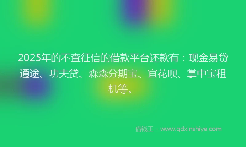 2025年的不查征信的借款平台还款有：现金易贷通途、功夫贷、森森分期宝、宜花呗、掌中宝租机等。