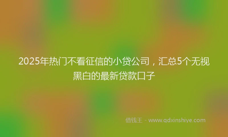 2025年热门不看征信的小贷公司，汇总5个无视黑白的最新贷款口子