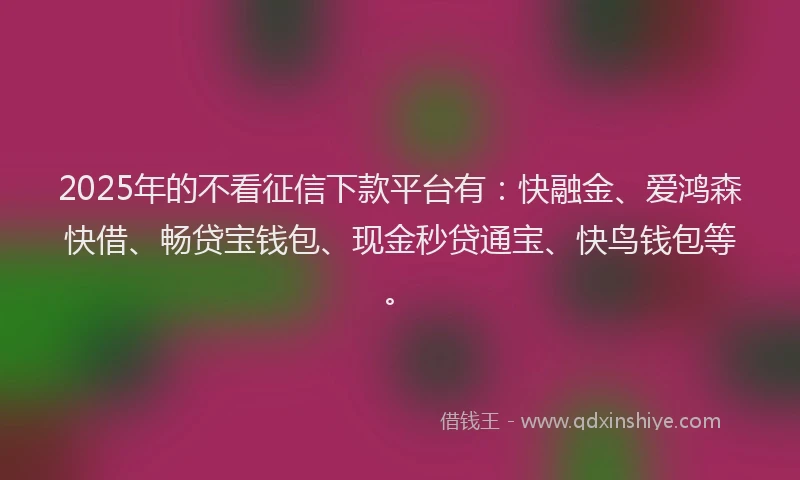 2025年的不看征信下款平台有：快融金、爱鸿森快借、畅贷宝钱包、现金秒贷通宝、快鸟钱包等。