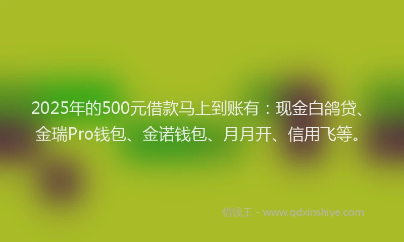2025年的500元借款马上到账有：现金白鸽贷、金瑞Pro钱包、金诺钱包、月月开、信用飞等。