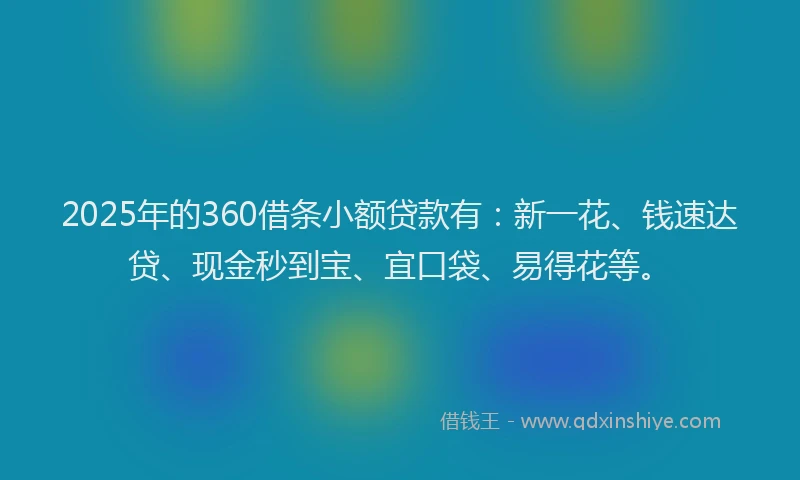2025年的360借条小额贷款有：新一花、钱速达贷、现金秒到宝、宜口袋、易得花等。