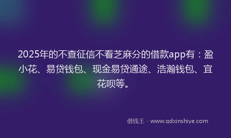2025年的不查征信不看芝麻分的借款app有：盈小花、易贷钱包、现金易贷通途、浩瀚钱包、宜花呗等。