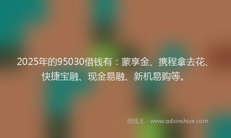 2025年的95030借钱有：蒙享金、携程拿去花、快捷宝融、现金易融、新机易购等。