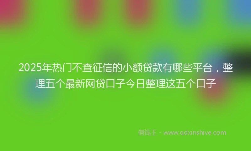 2025年热门不查征信的小额贷款有哪些平台，整理五个最新网贷口子今日整理这五个口子