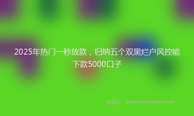 2025年热门一秒放款，归纳五个双黑烂户风控能下款5000口子