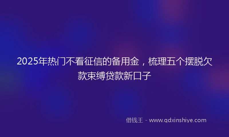 2025年热门不看征信的备用金，梳理五个摆脱欠款束缚贷款新口子