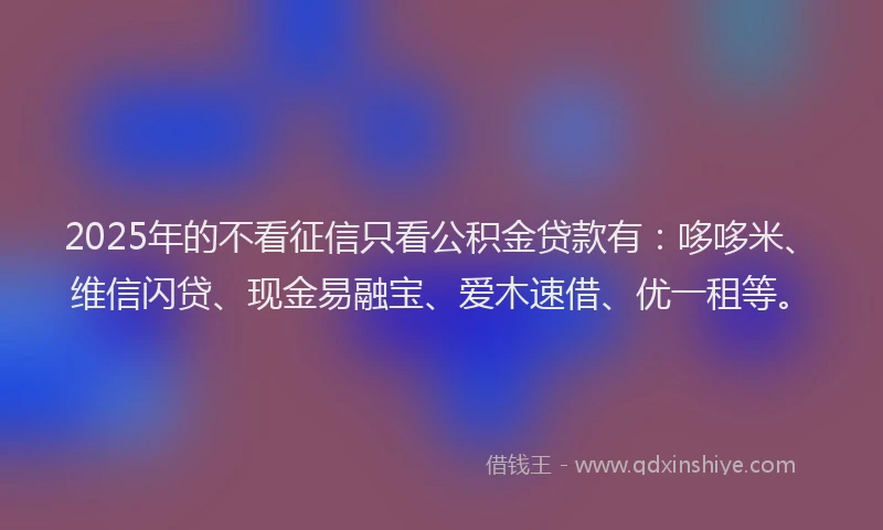 2025年的不看征信只看公积金贷款有：哆哆米、维信闪贷、现金易融宝、爱木速借、优一租等。