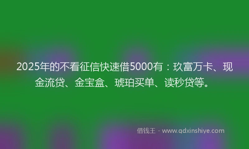 2025年的不看征信快速借5000有：玖富万卡、现金流贷、金宝盒、琥珀买单、读秒贷等。