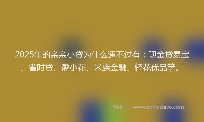 2025年的亲亲小贷为什么通不过有：现金贷易宝、省时贷、盈小花、米族金融、轻花优品等。