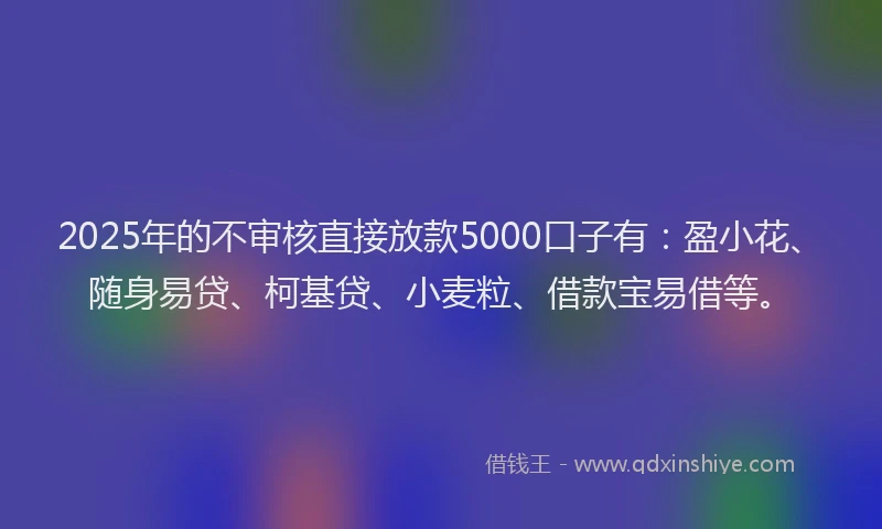 2025年的不审核直接放款5000口子有：盈小花、随身易贷、柯基贷、小麦粒、借款宝易借等。