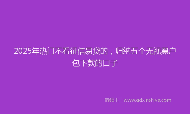 2025年热门不看征信易贷的，归纳五个无视黑户包下款的口子
