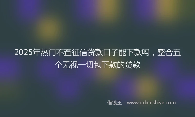 2025年热门不查征信贷款口子能下款吗，整合五个无视一切包下款的贷款