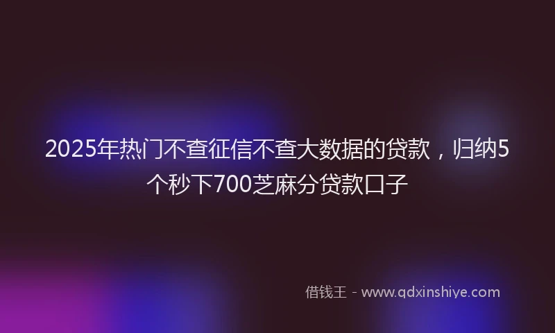 2025年热门不查征信不查大数据的贷款，归纳5个秒下700芝麻分贷款口子