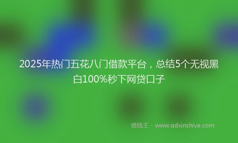 2025年热门五花八门借款平台，总结5个无视黑白100%秒下网贷口子