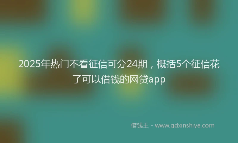 2025年热门不看征信可分24期，概括5个征信花了可以借钱的网贷app