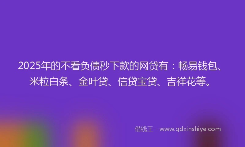 2025年的不看负债秒下款的网贷有：畅易钱包、米粒白条、金叶贷、信贷宝贷、吉祥花等。