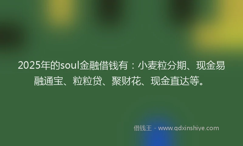 2025年的soul金融借钱有：小麦粒分期、现金易融通宝、粒粒贷、聚财花、现金直达等。