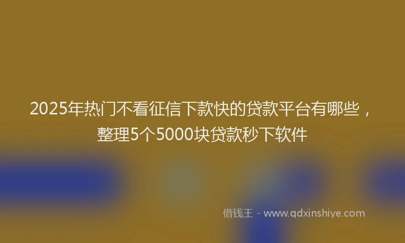 2025年热门不看征信下款快的贷款平台有哪些，整理5个5000块贷款秒下软件