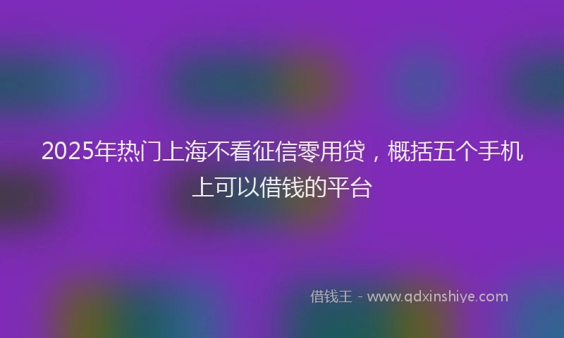 2025年热门上海不看征信零用贷，概括五个手机上可以借钱的平台