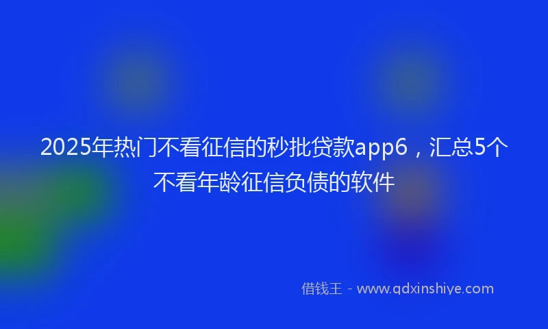 2025年热门不看征信的秒批贷款app6，汇总5个不看年龄征信负债的软件