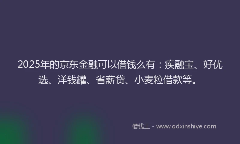 2025年的京东金融可以借钱么有：疾融宝、好优选、洋钱罐、省薪贷、小麦粒借款等。