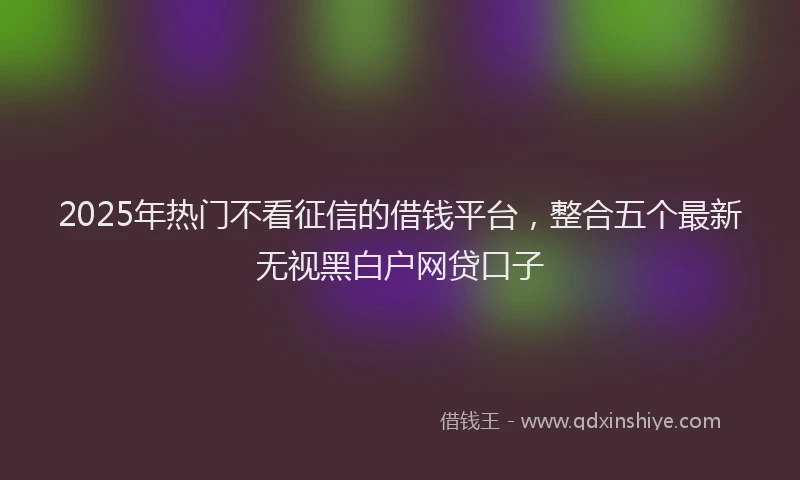 2025年热门不看征信的借钱平台，整合五个最新无视黑白户网贷口子