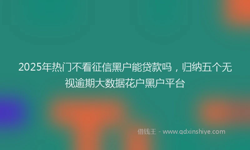 2025年热门不看征信黑户能贷款吗，归纳五个无视逾期大数据花户黑户平台