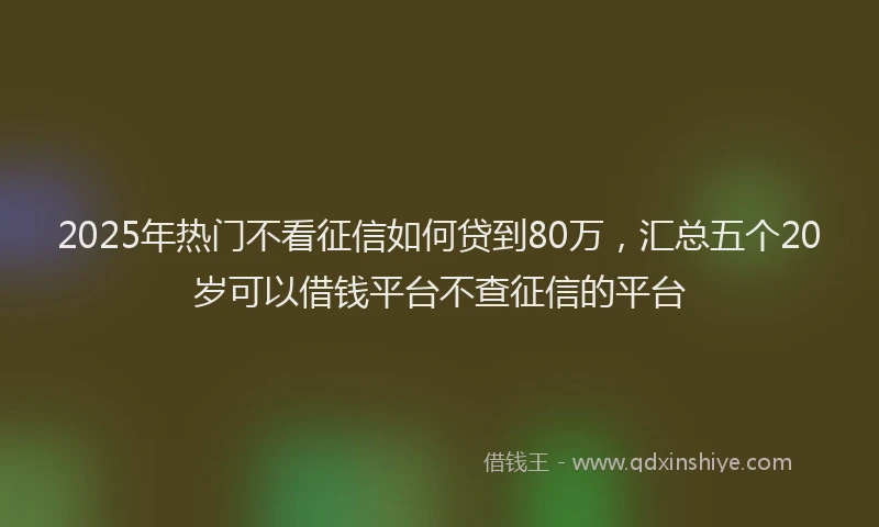 2025年热门不看征信如何贷到80万，汇总五个20岁可以借钱平台不查征信的平台