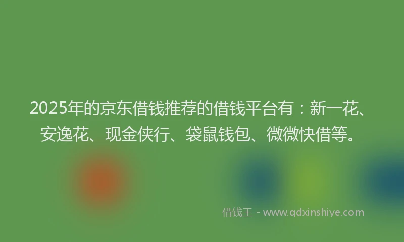 2025年的京东借钱推荐的借钱平台有：新一花、安逸花、现金侠行、袋鼠钱包、微微快借等。