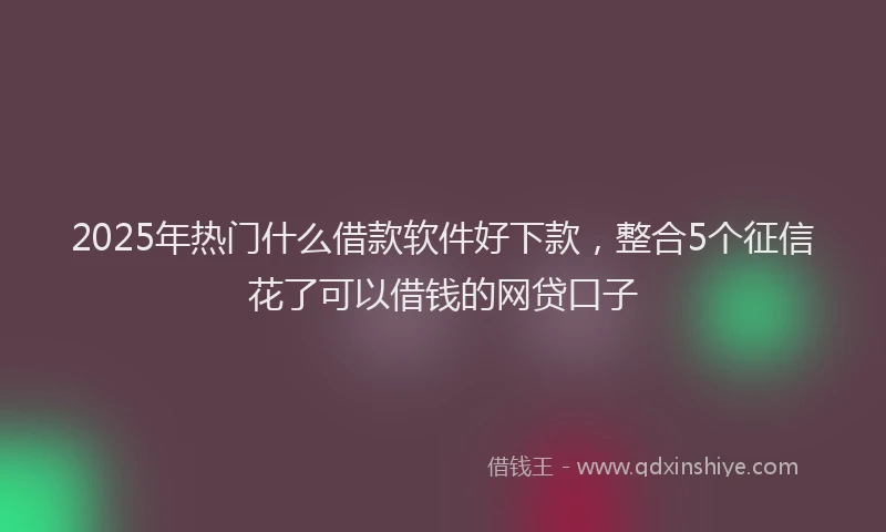 2025年热门什么借款软件好下款，整合5个征信花了可以借钱的网贷口子