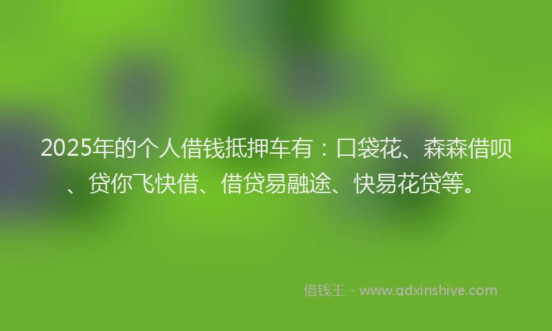 2025年的个人借钱抵押车有：口袋花、森森借呗、贷你飞快借、借贷易融途、快易花贷等。