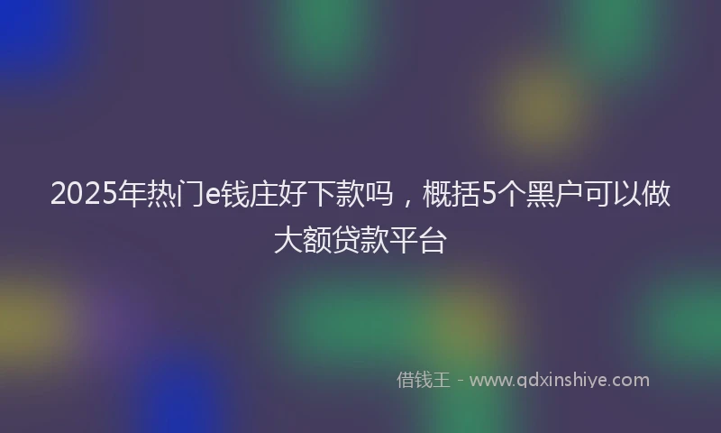 2025年热门e钱庄好下款吗，概括5个黑户可以做大额贷款平台