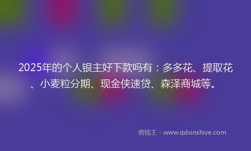 2025年的个人银主好下款吗有：多多花、提取花、小麦粒分期、现金侠速贷、森泽商城等。