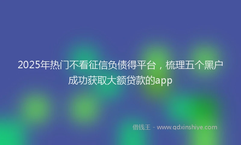 2025年热门不看征信负债得平台，梳理五个黑户成功获取大额贷款的app